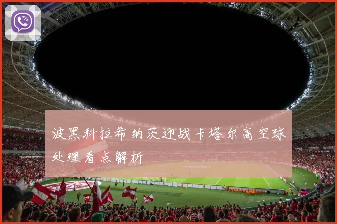 波黑科拉希纳茨迎战卡塔尔高空球处理看点解析