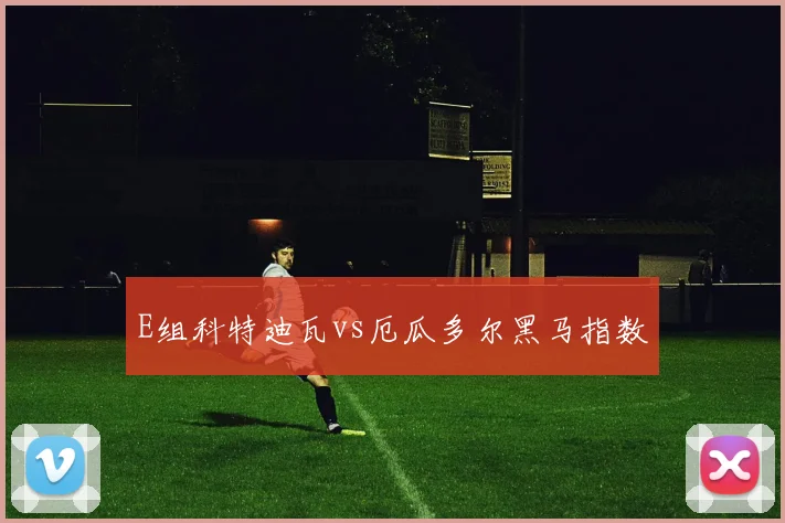 E组科特迪瓦vs厄瓜多尔黑马指数