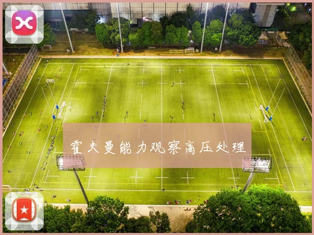 霍夫曼能力观察高压处理