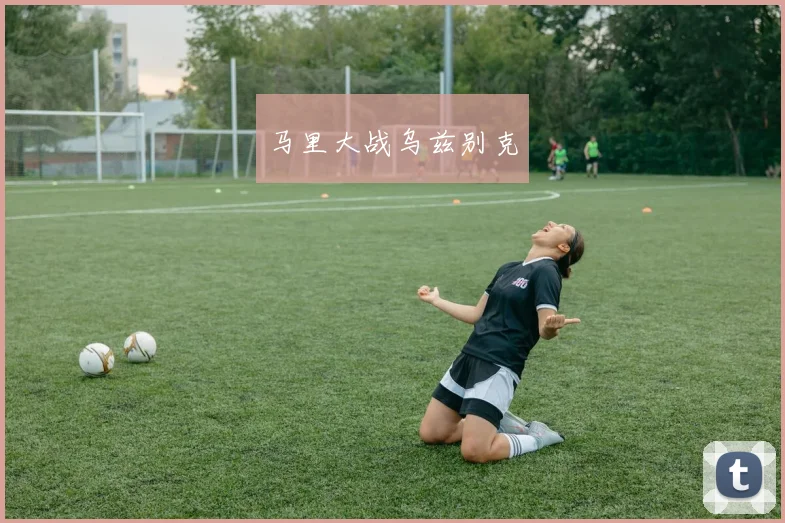 马里大战乌兹别克