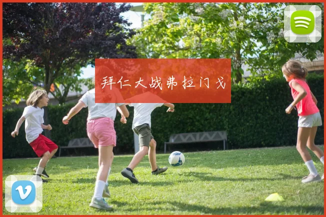 拜仁大战弗拉门戈