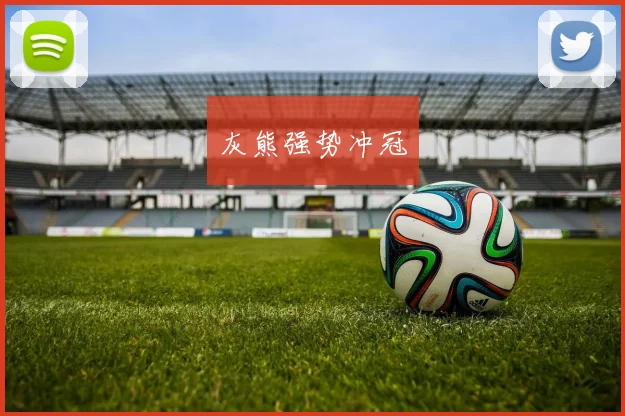 灰熊强势冲冠