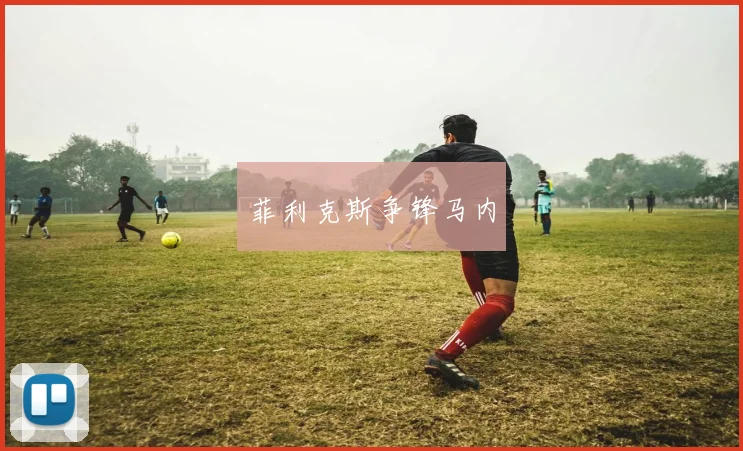 菲利克斯争锋马内