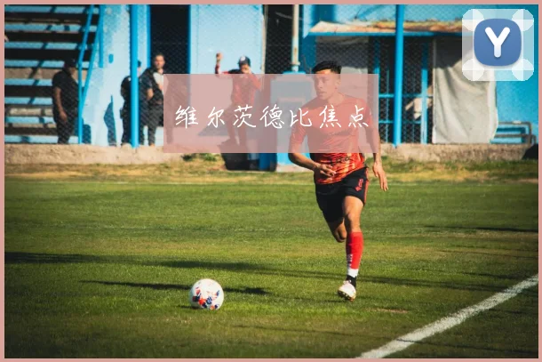 维尔茨德比焦点