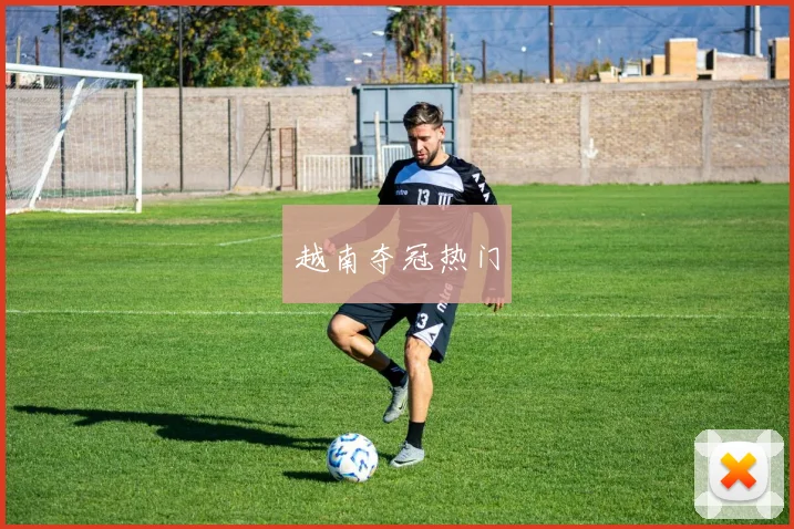 越南夺冠热门