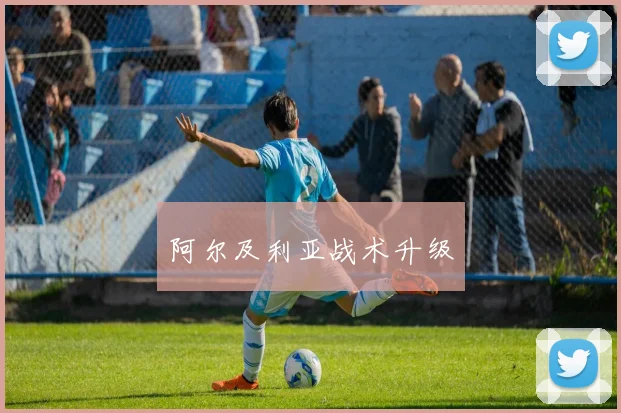 阿尔及利亚战术升级