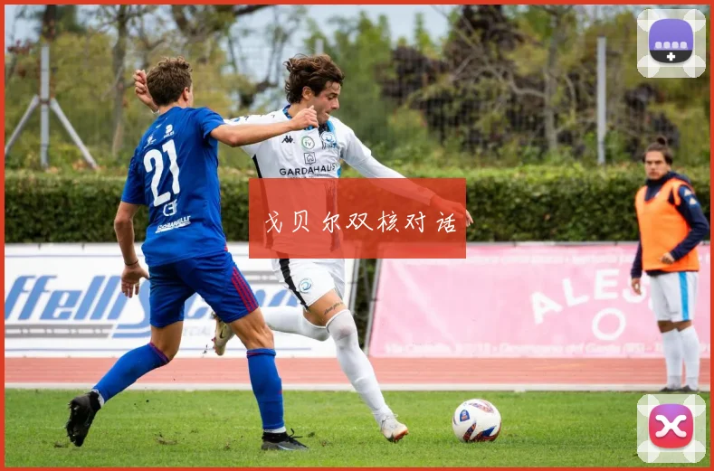 戈贝尔双核对话