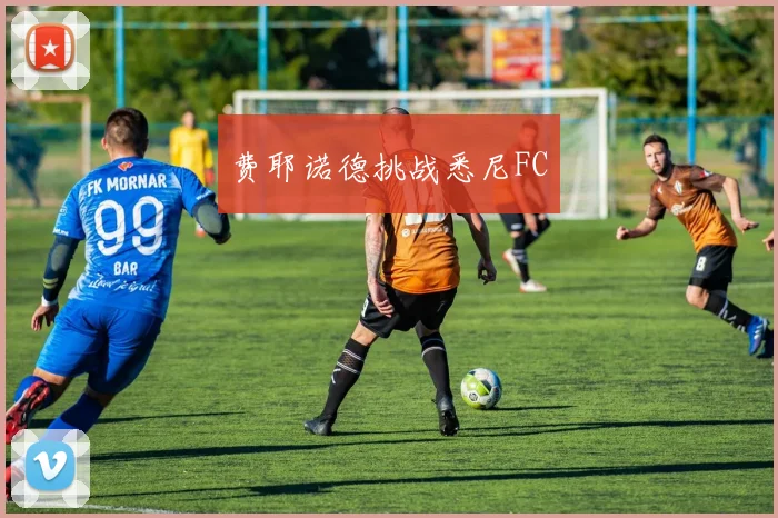 费耶诺德挑战悉尼FC