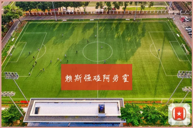 赖斯强碰阿劳霍