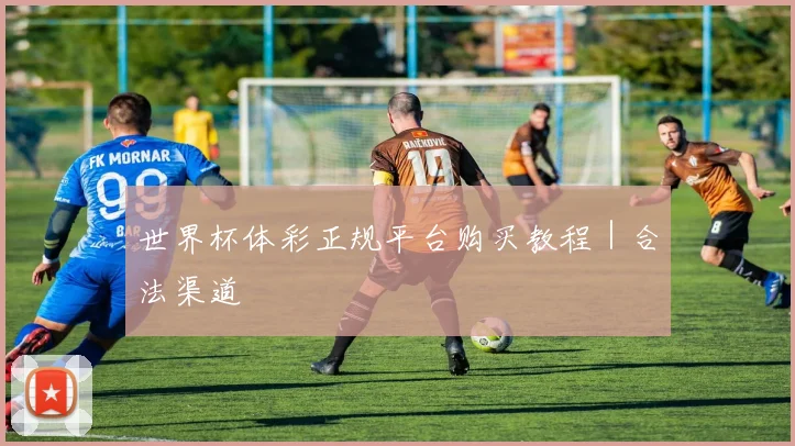世界杯体彩正规平台购买教程｜合法渠道