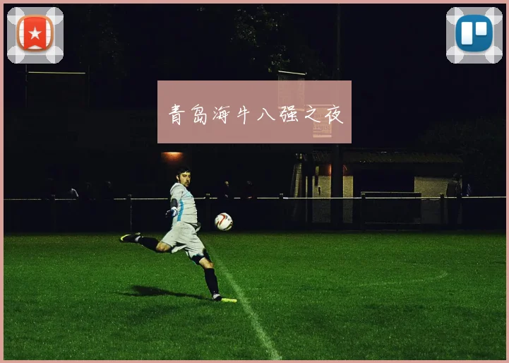 青岛海牛八强之夜