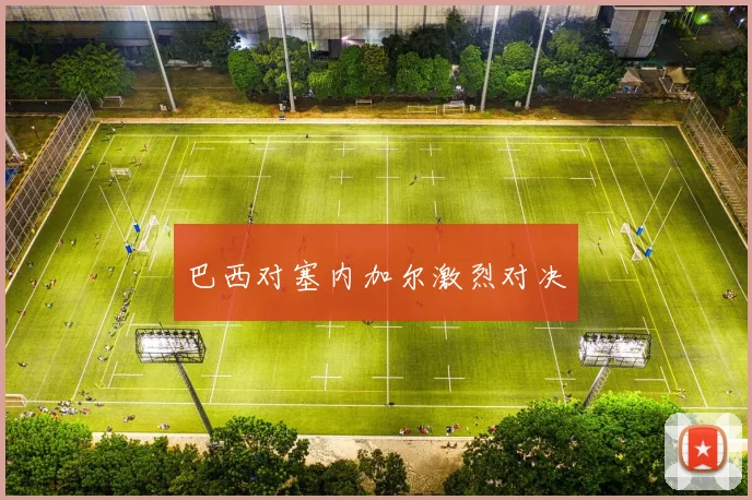 巴西对塞内加尔激烈对决