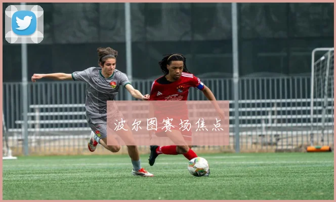 波尔图赛场焦点
