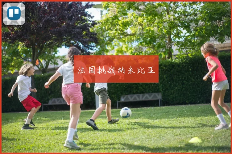 法国挑战纳米比亚