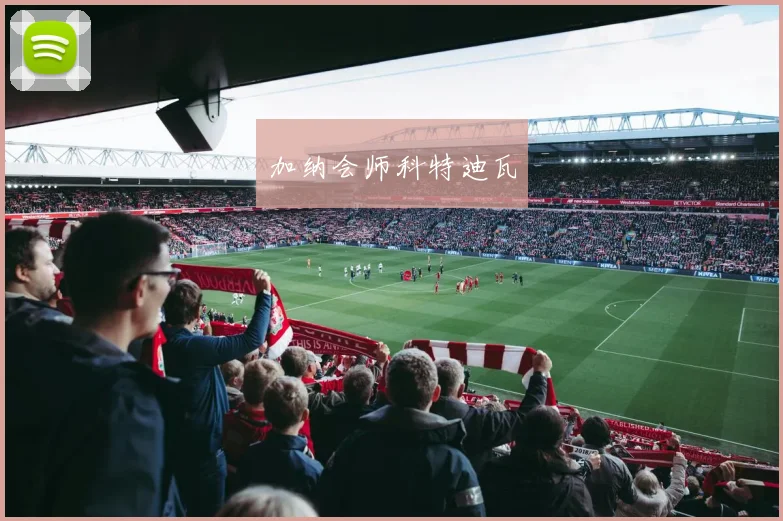 加纳会师科特迪瓦