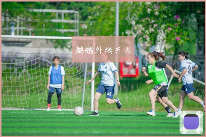 鹈鹕外线开火