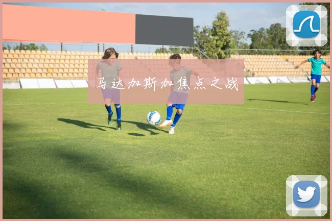 马达加斯加焦点之战