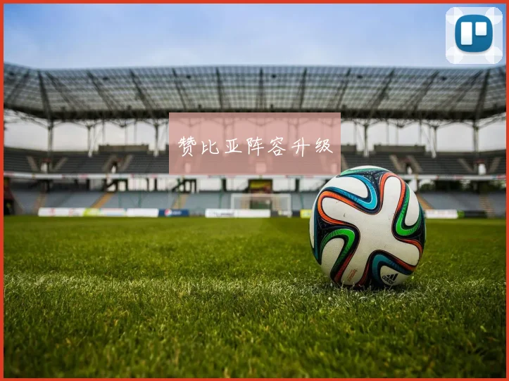 赞比亚阵容升级