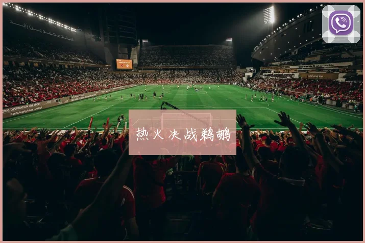 热火决战鹈鹕