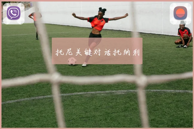 托尼关键对话托纳利