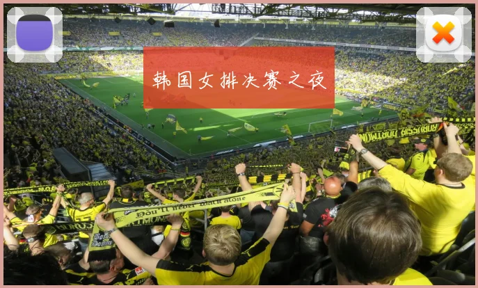 韩国女排决赛之夜