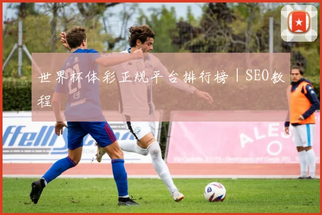 世界杯体彩正规平台排行榜｜SEO教程
