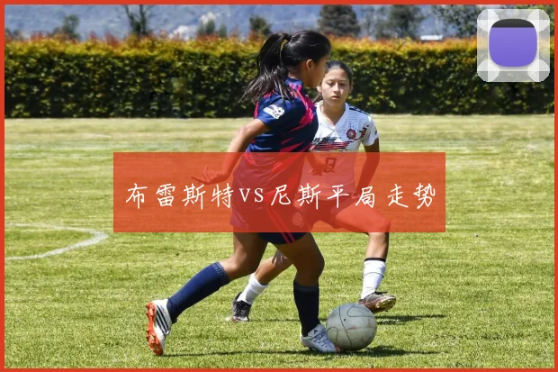 布雷斯特vs尼斯平局走势