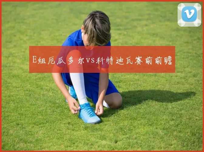 E组厄瓜多尔vs科特迪瓦赛前前瞻