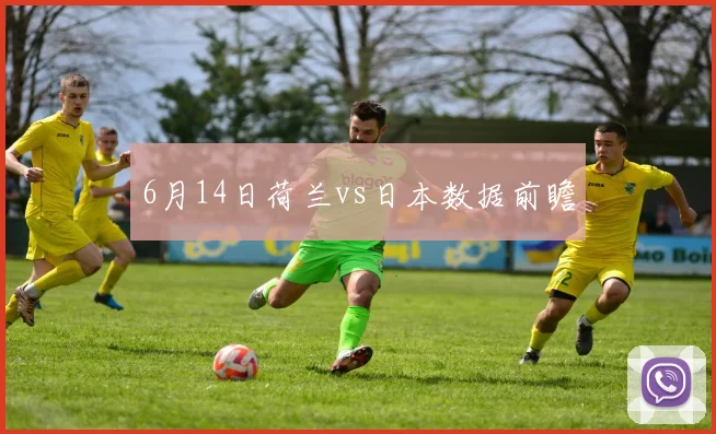 6月14日荷兰vs日本数据前瞻