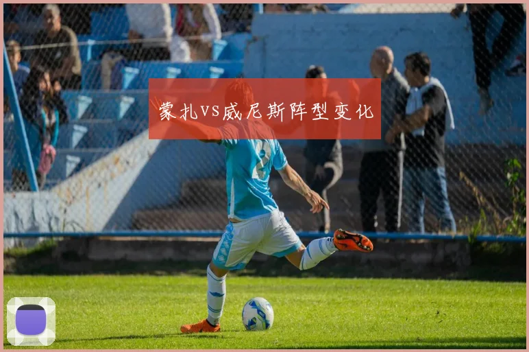 蒙扎vs威尼斯阵型变化