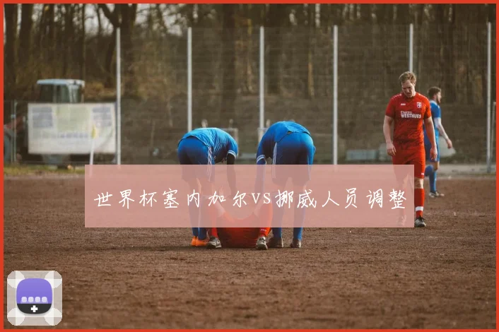 世界杯塞内加尔vs挪威人员调整
